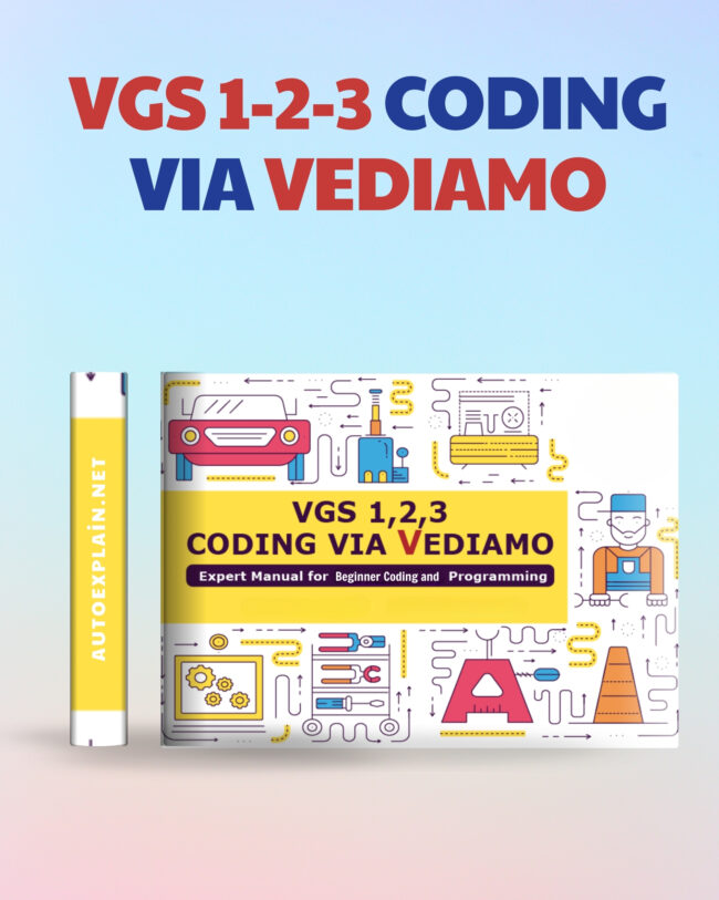 VGS 1, 2, 3 Coding via Vediamo