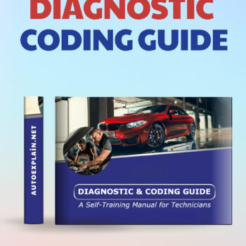 Diagnostic & Coding Guide